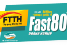 FTTH Fast 80Mb plus